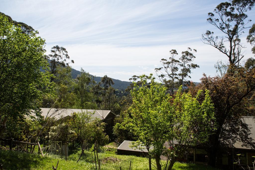 ウォーバートン バターカップ ヒル Bed & Breakfast 部屋 写真